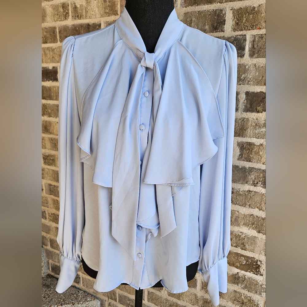 Zara Blue Silk Blouse Sz Large